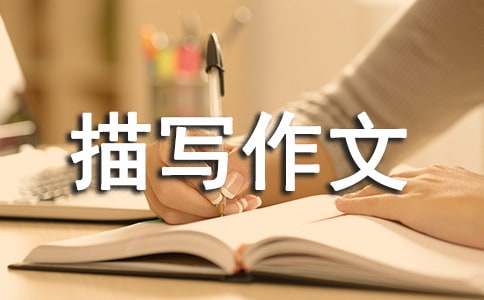 秋雨的描写作文100字（通用40篇）