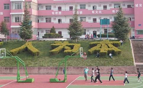 校园安全的建议书