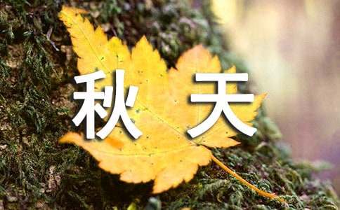 四年级作文我眼中的秋天