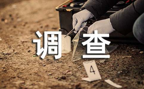 小学生环境调查报告范文
