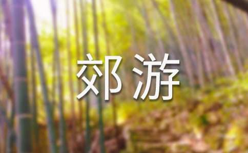 二年级小学生郊游作文
