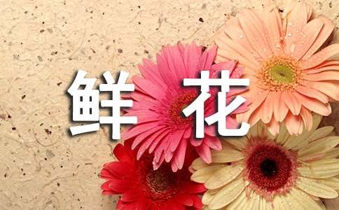 鲜花作文300字（精选36篇）