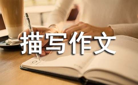 肖像描写作文