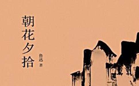 六年级《朝花夕拾》读后感