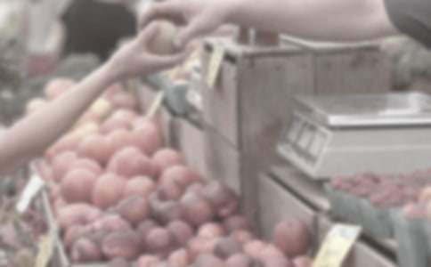食品市场调查报告范文