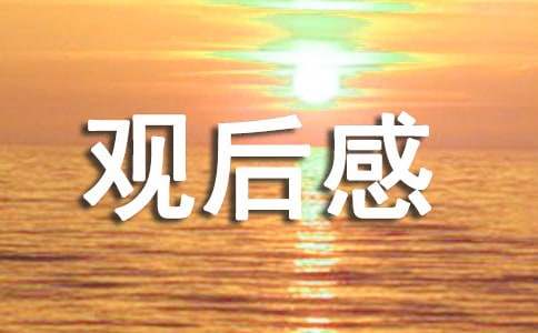 《毒液：最后一舞》观后感（精选9篇）