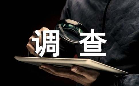 小学调查报告必备（15篇）