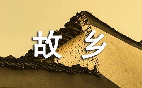 20年后回故乡的作文