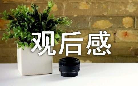 2024潍坊《亲子共成长》观后感