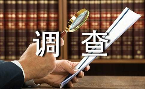小学生上网情况调查报告
