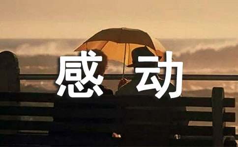 感动七年级作文700字（精选44篇）