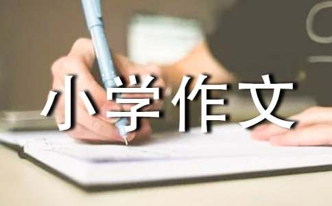 永远的回忆小学作文（通用22篇）