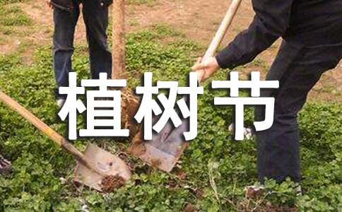 植树节二年级作文100字（通用30篇）