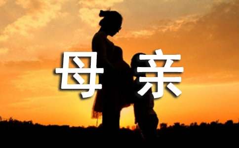 母亲小学抒情作文（精选55篇）