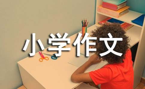 滴水穿石小学作文