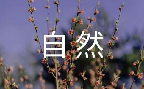 自然规律谚语