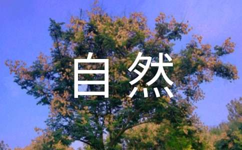 感受自然为话题作文