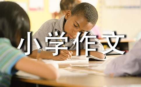 忍不住感激小学作文700字