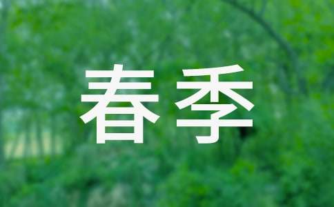 小学后勤工作计划2025春季