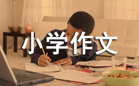 未来的畅想小学作文15篇