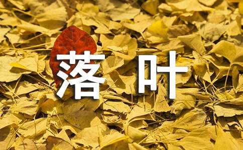 美丽的落叶小学作文