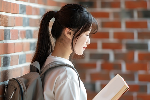 成都艺术职业大学学费贵吗 大概招生多少人