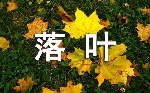 落叶惊心作文