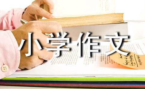 难忘的一件事小学作文