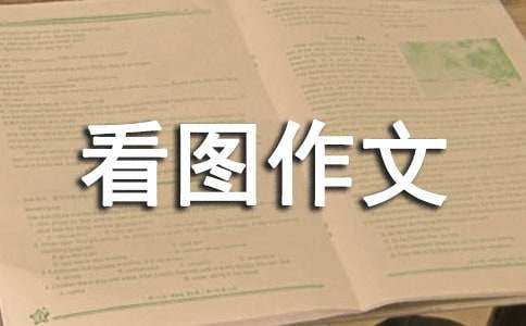 六年级上册第七单元看图作文：小鸭子得救了