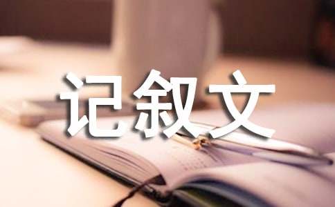 一次有趣的活动四年级记叙文（通用28篇）