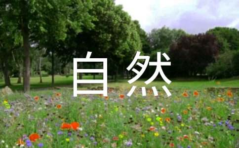 感受自然七年级作文700字